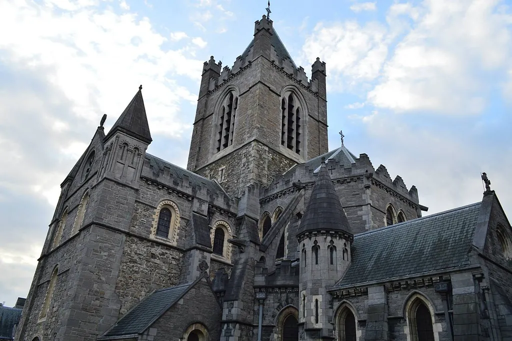 Dublinia