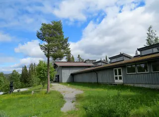 Dyre Vaa-samlingane in Rauland