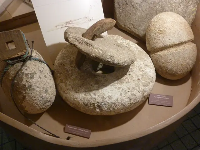 ALGAE, centre d'interprétation et de valorisation des algues in Plouguerneau