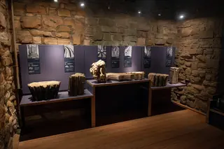 Elgin Cathedral – Photo 3 of 10