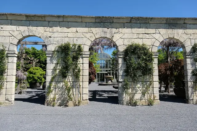 Enea Baummuseum in Rapperswil-Jona – Photo 2 sur 4