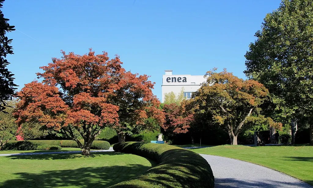 Enea Baummuseum in Rapperswil-Jona
