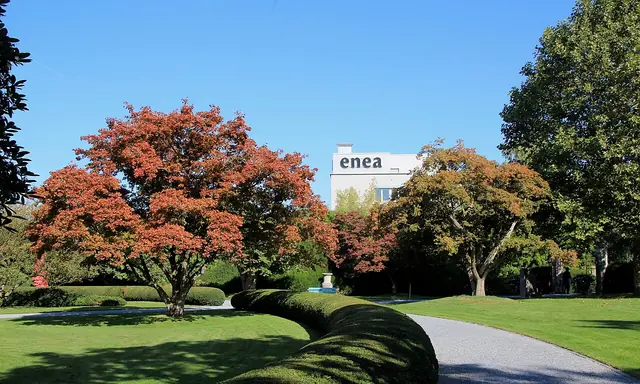 Enea Baummuseum in Rapperswil-Jona