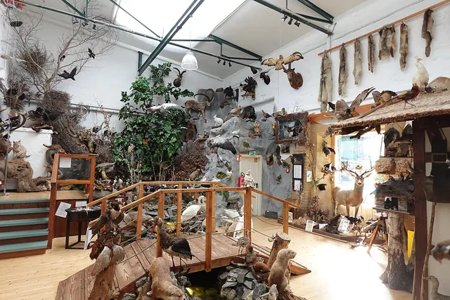 Erlebnismuseum Lernort Natur in Monschau