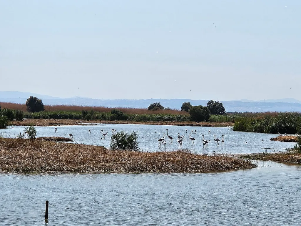 EVOA – Espaço de Visitação e Observação de Aves in Vila Franca de Xira