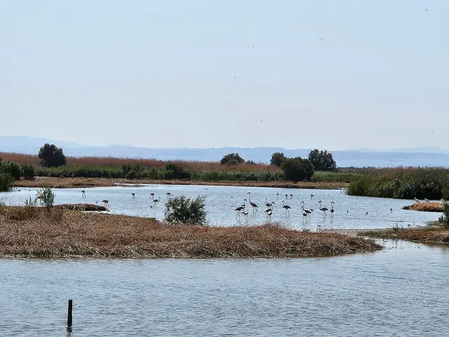 EVOA – Espaço de Visitação e Observação de Aves in Vila Franca de Xira