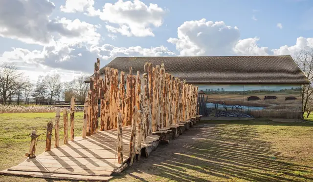 Flag Fen in Peterborough