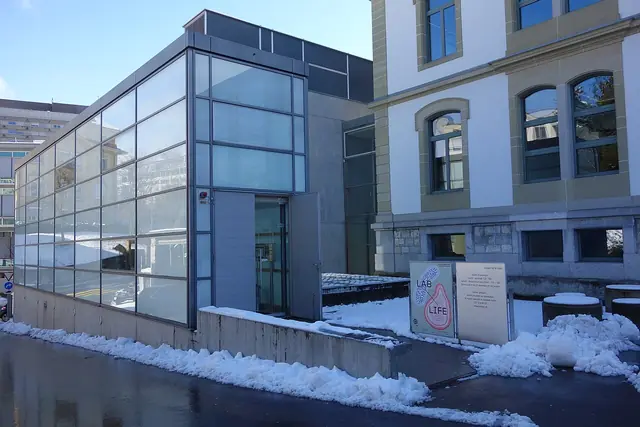 Musée de la main UNIL-CHUV in Losanna