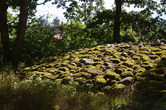 Forngården in Trollhättan – Bild 3 av 3