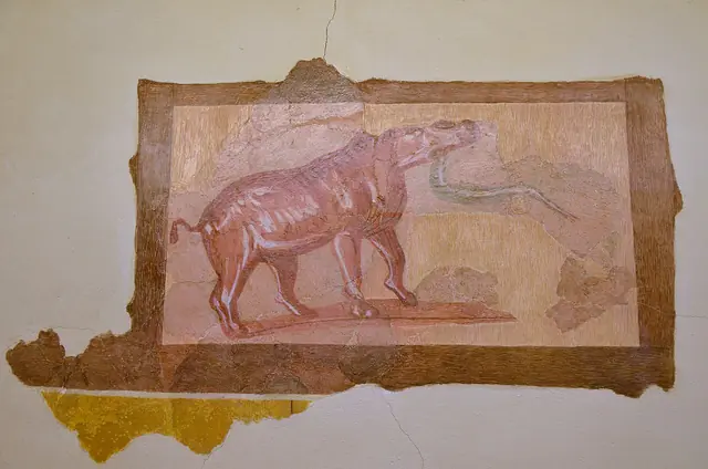 Parco archeologico di Forum Sempronii in Fossombrone