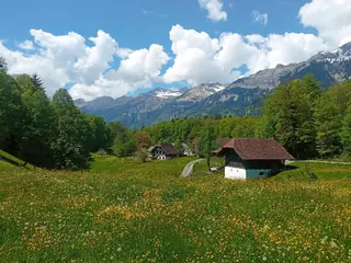Freilichtmuseum Ballenberg in Hofstetten bei Brienz – Photo 3 sur 4