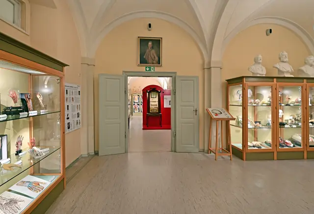 Anatomische Sammlung Jena