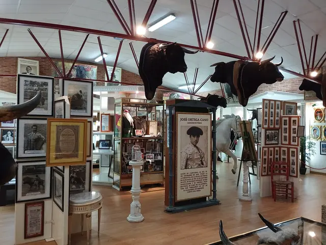 Fundación Museo Taurino Manolo Juárez in Cartagena