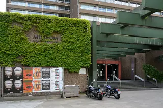 Museum der Natur Hamburg – Geologie-Paläontologie in Hamburgo