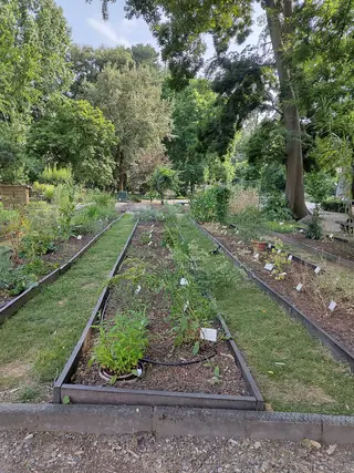 Giardino dei Semplici in Florenz – Bild 2 von 3