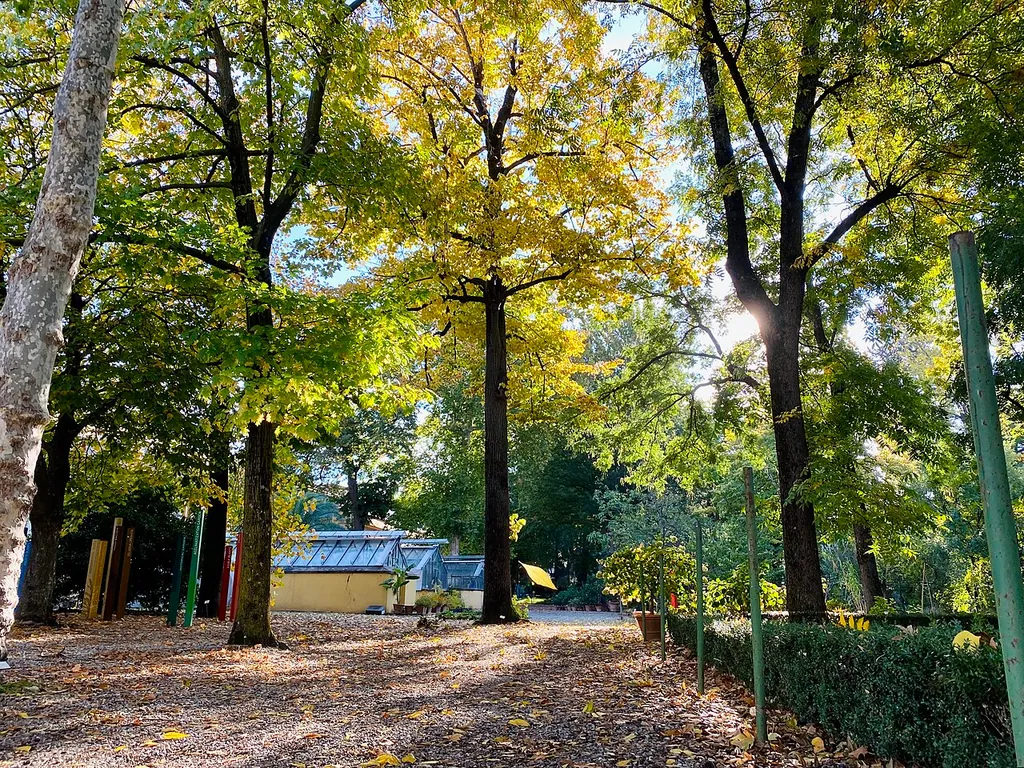 Giardino dei Semplici in Firenze