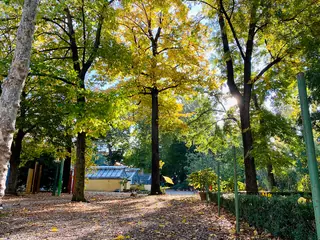 Giardino dei Semplici in Florencja