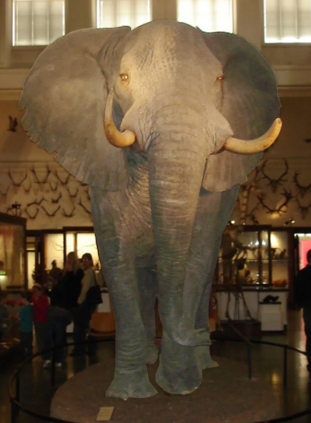 Göteborgs Naturhistoriska museum in Gothenburg