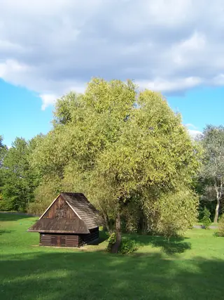 Górnośląski Park Etnograficzny in Chorzów