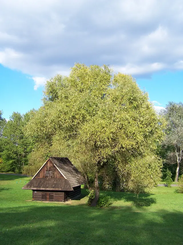 Górnośląski Park Etnograficzny in Chorzów