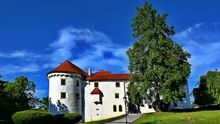 Grad Bogenšperk – Photo 6 of 8