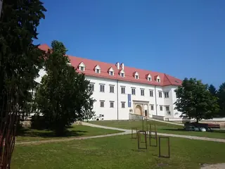 Grad Negova