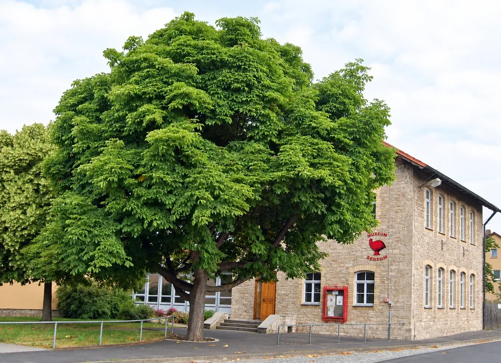 Gräberfeldmuseum Segeum, Segnitz