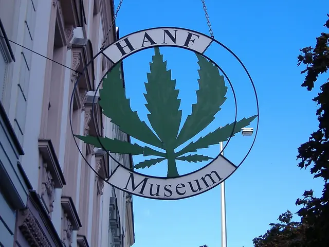 Hanf Museum in Berlino