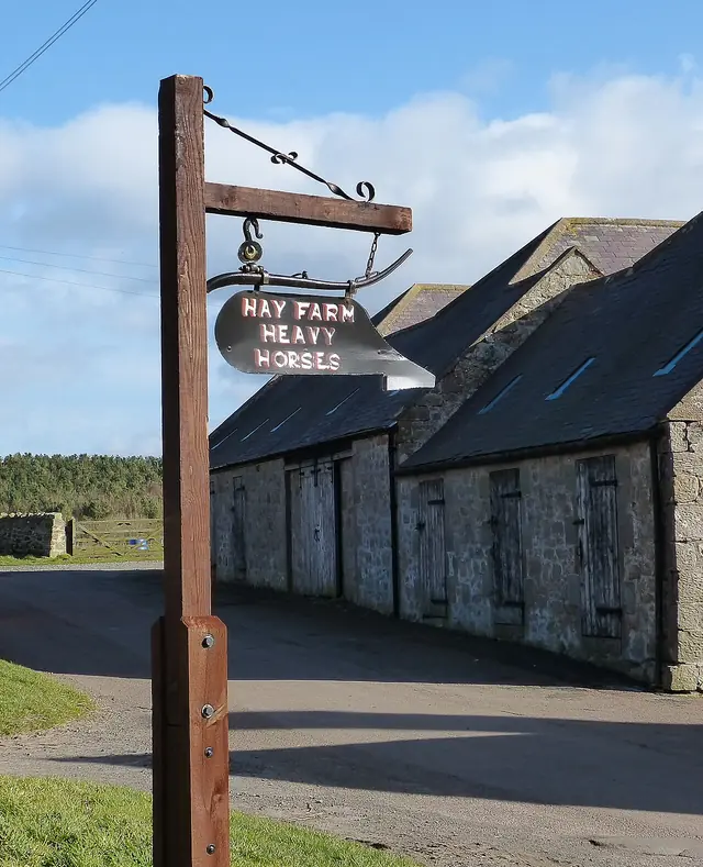 Hay Farm Heavy Horse Centre in Berwick-upon-Tweed