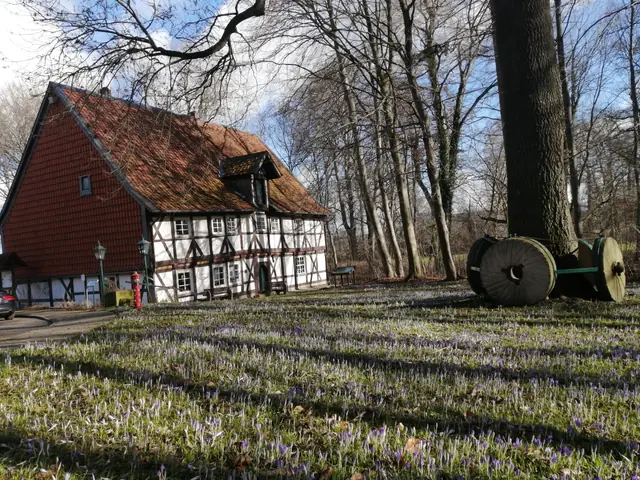 Heimathaus Alte Mühle Schladen