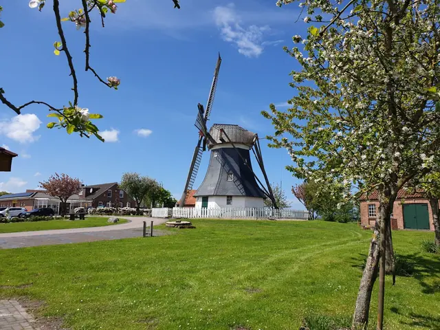 Heimatmuseum Werdumer-Mühle