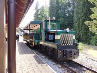Historická lesná úvraťová železnica in Nová Bystrica – Photo 4 of 7