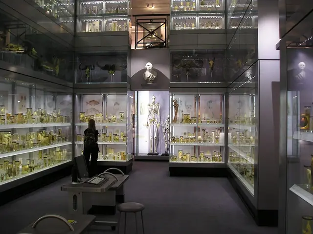 Hunterian Museum in Londra