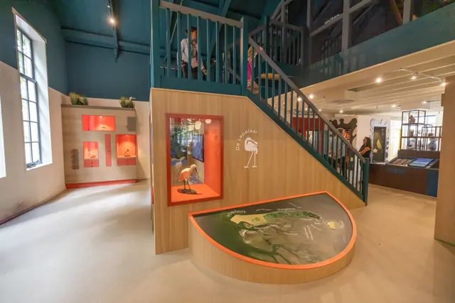 Natuur Educatie Centrum De Lepelaar in Vlieland
