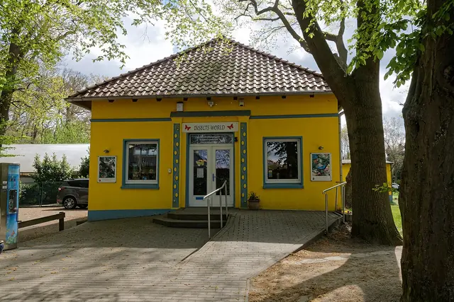 Schmetterlingsfarm und Insektenmuseum Steinhude in Wunstorf