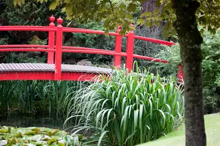 Irish National Stud & Gardens in Kildare