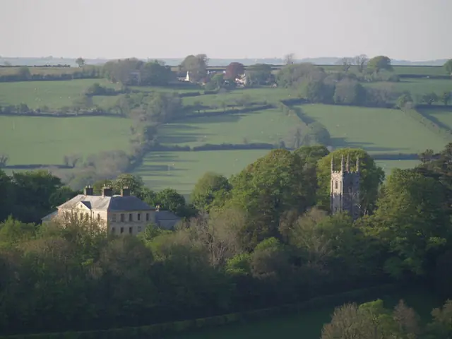 Kelly House in Lifton