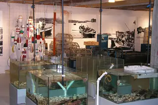Kvitsøy hummermuseum