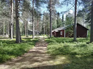 Lapin metsämuseo in Rovaniemi