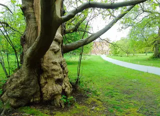 Lytham Hall – Photo 5 of 5