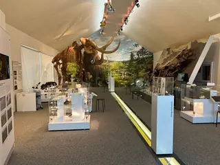 Mammutmuseum Niederweningen – Photo 5 sur 5