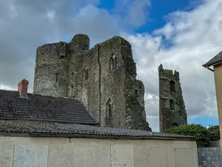Medieval Ferns Experience