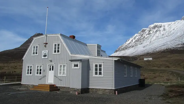 Melrakkasetur Íslands in Súðavík