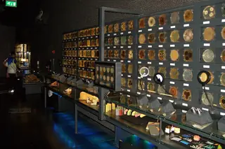 ARTIS-Micropia in Amesterdão