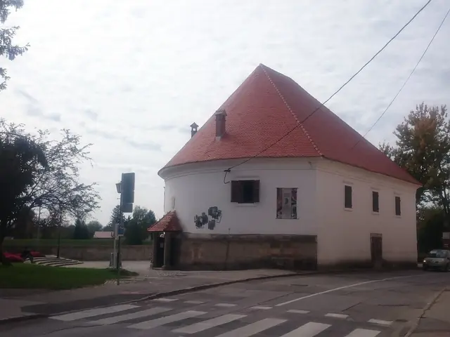 Miheličeva galerija in Ptuj – Photo 4 of 4