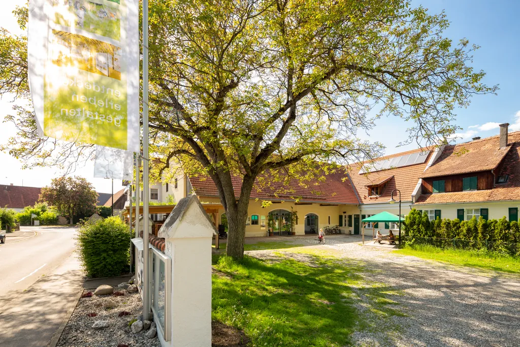 mooseum in Bächingen an der Brenz
