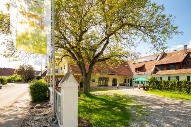 mooseum in Bächingen an der Brenz