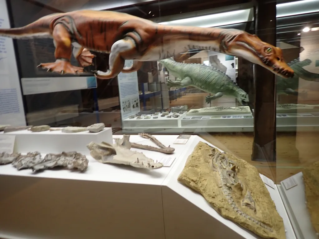 Muschelkalkmuseum Hagdorn in Ingelfingen – Photo 3 of 3