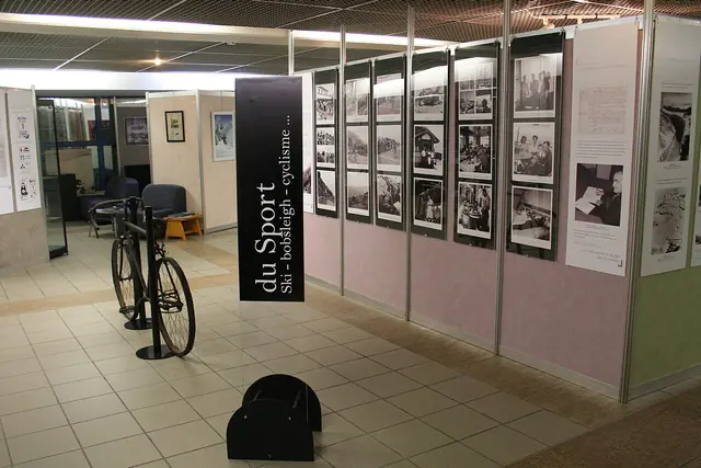 Musée d'histoire et d'archéologie de l'Alpe d'Huez