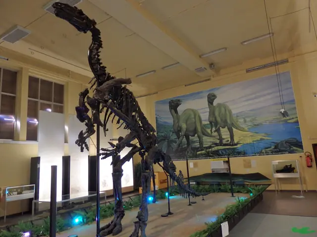 Musée de l'Iguanodon in Bernissart